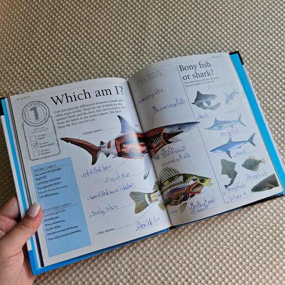 4/$20 2008 Shark - Expert Files - Eyewitness Book with CD - Picture 5 of 10